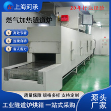 上海工业用隧道热成型炉 燃气加热隧道炉 烘干流水线固化设备