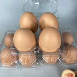 陶瓷创意茶宠有趣鸡蛋茶碗茶盘茶台 茶桌可爱小摆件