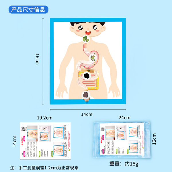 Physiological digestive system for experiments for traveling
