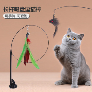 Summary upgrade suction cup cat tease stick self-hi detachable wire cat tease stick replacement head suit cat tease toy