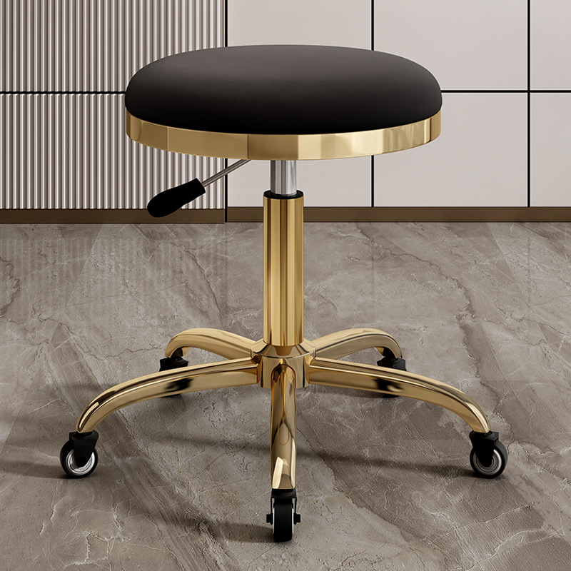 silla de dentista de estética elevadora polea de manicura silla giratoria silla de computadora silla de laboratorio maestro taburete