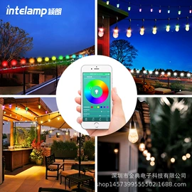 太阳能灯;庭院灯;道路照明灯