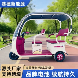 电动三轮车;电动代步车;其他电动车