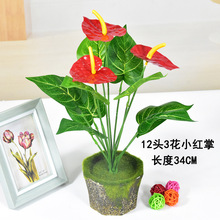 �S��ֱ�N12�^����С�t�Ƽٻ��ָ��z�~�Gֲܛ�bֲ��@�ּҾ��b�