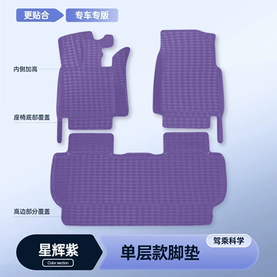 modification accessories, leather floor mats, Modelə uyğun ayaqaltı - 26-models-of-xiangjie-g9-five-seater-premium-starlight-purple-single-layer-floor-mat