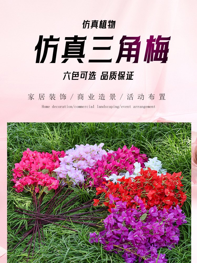 详情_01.jpg