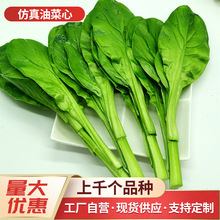 �����߲˲���ģ�� �Ͳ��ļ�����ˮ���߲˙����Ҿ�չʾ�b���