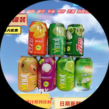 越南J79果味饮料罐装椰子刺番荔枝牛油果山竹青柠人参芒果果汁