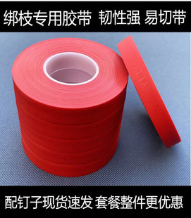 Tape PVC Thickened Tape Nails Tomato Grape Cherry Tomato Tape Branch Tape