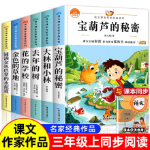 宝葫芦的秘密小学三年级必读课外书语文课本同步名家经典作品书籍