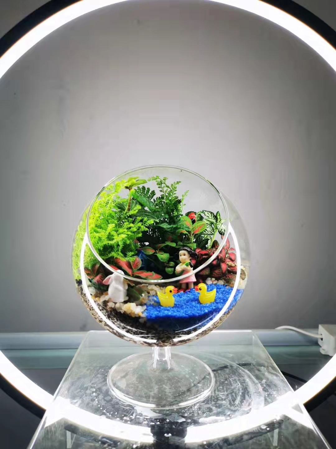Micro-landscape globe