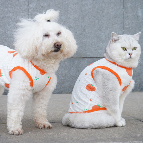 Pet it Thin Pet Vest Anti-Shedding Dog Clothes Large Dog Teddy Cat Corgi French Bulldog Clothing Wholesale