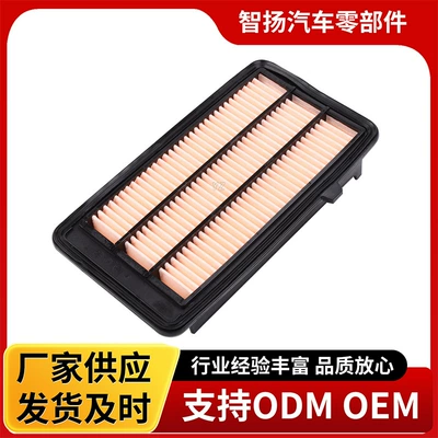 Suitable for Honda 10Th Generation Civic Air Filter Element 17220-5Aa-A00 Crown Road Haoying Urv1.5T Filter Grids (Air filter)