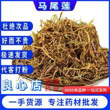 RβɏɃRβB؛RβSBozRβɏă