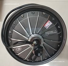 電動車14/16寸電摩10寸48V60V72V漲剎鼓剎碟剎后輪轂一體電機配件