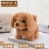 Lab Labrado [Yellow]