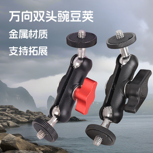 ���C�����㶹�A�����A�f��ħ�g�ֱ�ë���v�ұ��p���^�㶹�v֧��