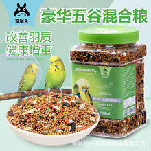 散装 鸟食 鹦鹉饲料 油葵 鸟饲料 鹦鹉粮 鸟粮鸟食饲料