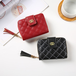 �S�����l2026�¿�����X�A�n����������K���С���L�̿�Ůʿ�X��