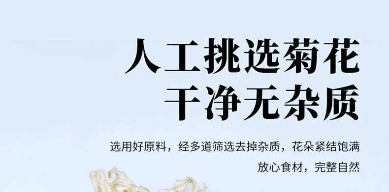 Huangshan White Chrysanthemum Tea July Ju Hua Dried Flower 500g Bulk Loose Herbal Tea quality and texture