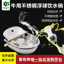 PţˮӺ304ԄˮţRˮˮ