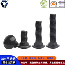 304��ɫ����ִ�ͷ������˿DIN603�������͸�ʴ�����ô��������