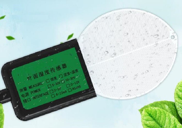 H植物叶面温度湿度传感器 型号:HFD-10库号：M385844