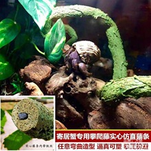 �ľ�з����ַ�������ٗl�������������ٗl���������ľӏ����쾰