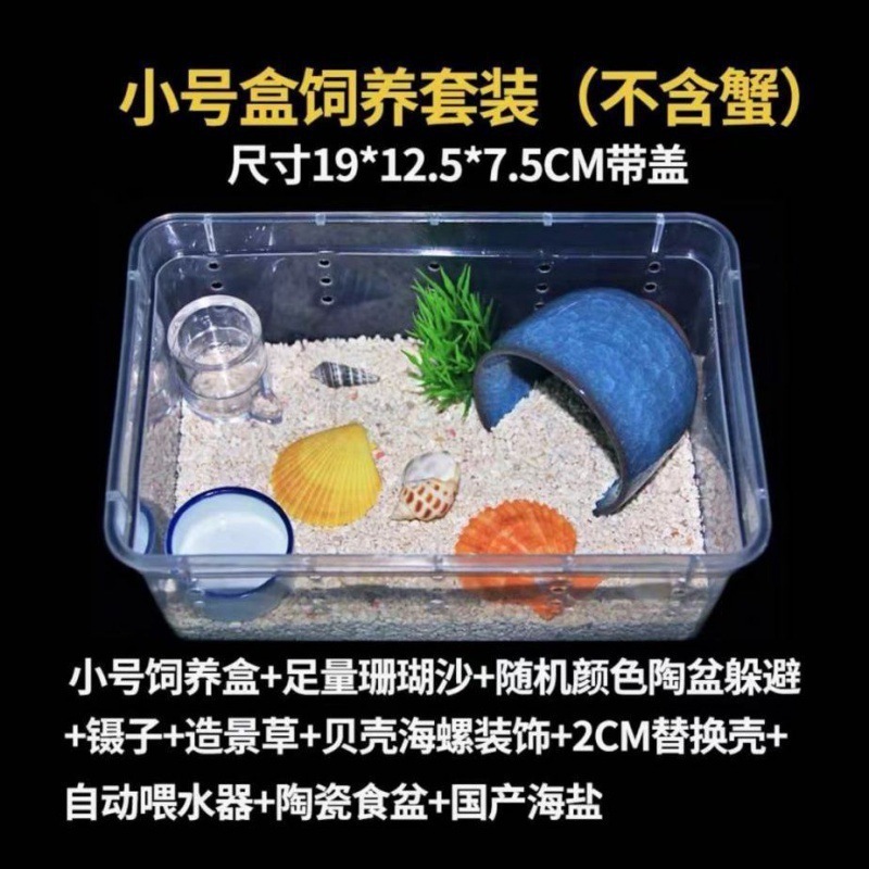 寄居蟹专用饲养爬宠饲养盒昆虫观察盒新手套装饲养缸寄居蟹套餐|undefined