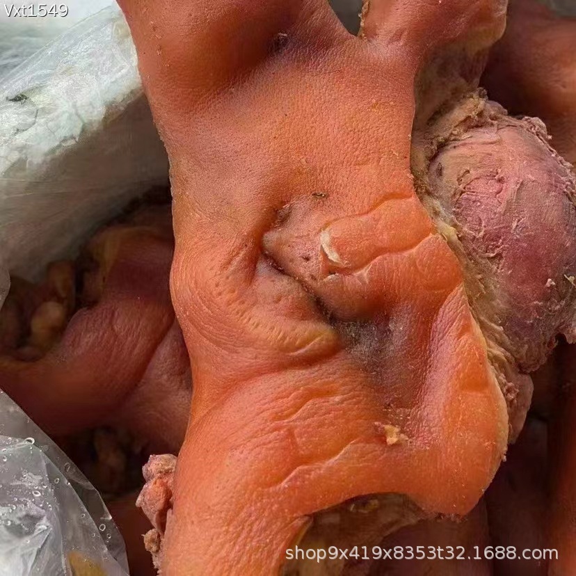 9f1bb34b054a83637603fe32757600