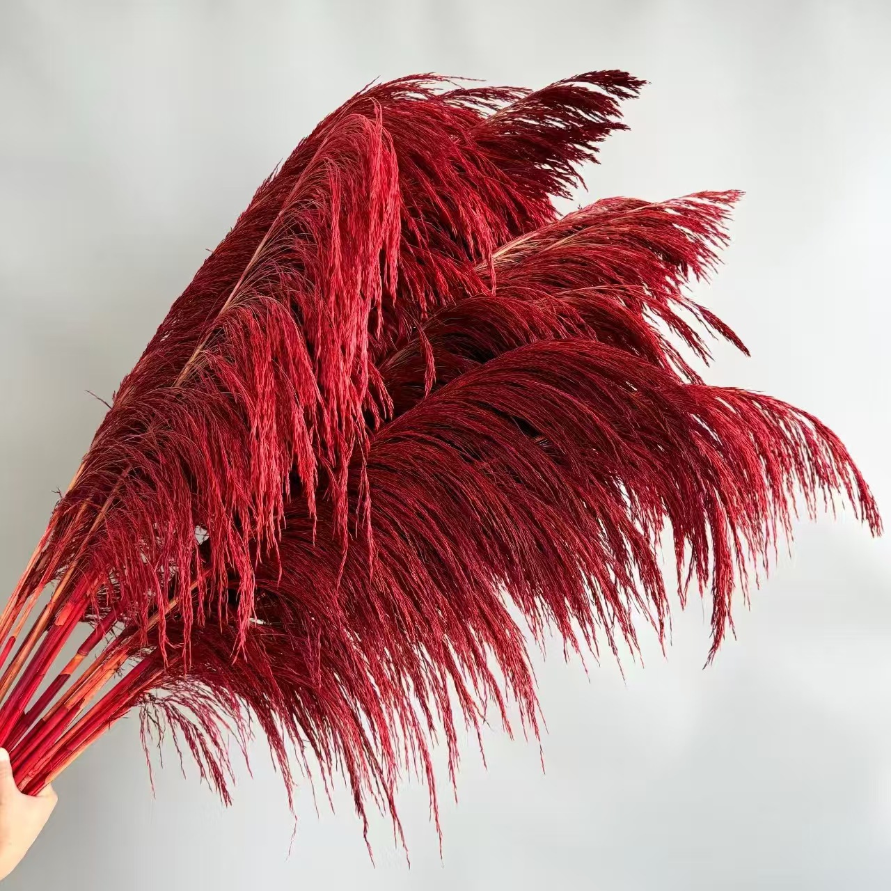 Flores de inmortalidad rojas decoración de boda flores secas de Año Nuevo para dar la bienvenida a los huéspedes frijoles de dragón grasa colgando arroz al por mayor
