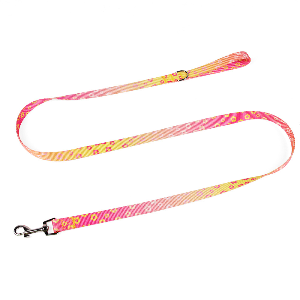 Selección estricta de la correa de pecho de perro cuero de espalda fácil de limpiar cuerda de perro de color gradiente correa de tendencia de la calle cuerda de tracción de perro