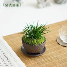 ���X�����辰�쾰ˮ�฽ʯ�b�ֲ�ﻨ��΢���^�~�ה[������횾Gֲ