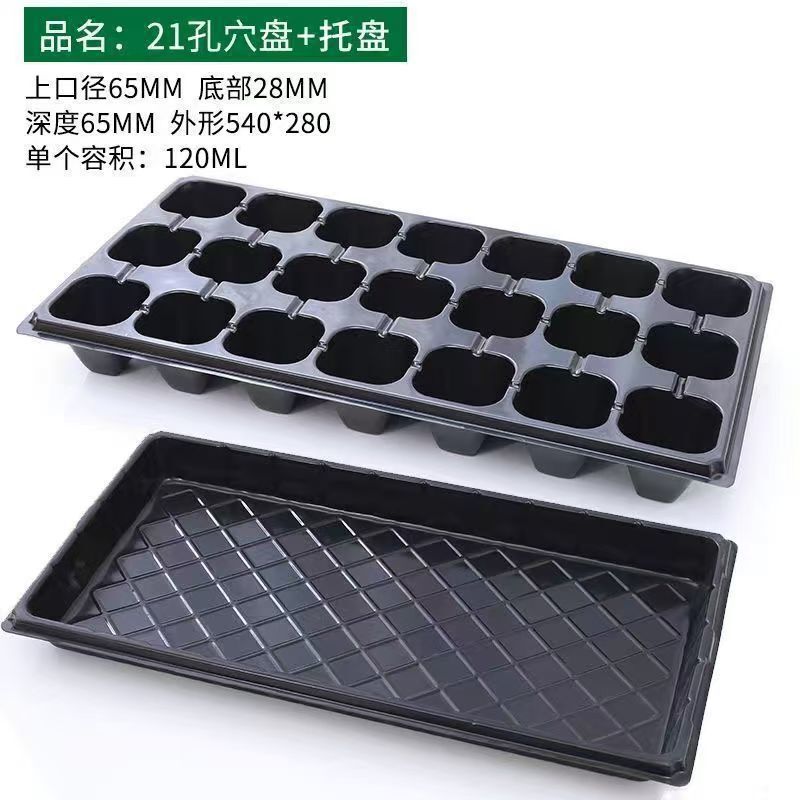 家庭用屋内増粘苗穴トレイ挿し木トレイ野菜ベリー多肉植物非多孔質苗ポット水受けトレイ|undefined