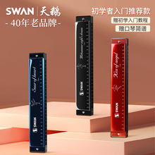 口琴24孔28孔初学者入门小学生儿童复音重调成人业