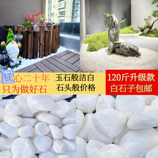 60kg White Pebbles Paving and Decorating Courtyard Landscaping Small Stone Garden Garden Landscape White Pebbles