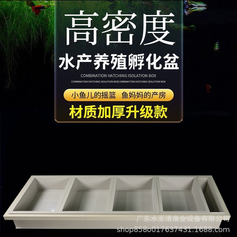 长方形鱼苗孵化池工厂化高密度养殖孵化桶PP育苗盆
