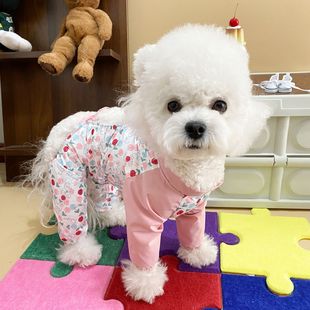 Cute Dog Bixiong Teddy Walking Pants Four Seasons Universal Dust-proof Foreign-style Tulip Pet Pet Dust-proof Pants