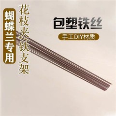 蝴蝶蘭支架花夾子支撐杆花卉專用支柱藤蔓架鐵絲造型園藝固定盆栽