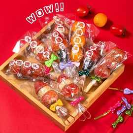 迷你冰糖葫芦包装袋透明糖果袋蝴蝶结扎丝创意卡通签全套材料工具