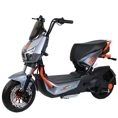 Electric Assist Bike, Compact and Lightweight | Elektrikli motosikletlər - grey-1000w-naked-car