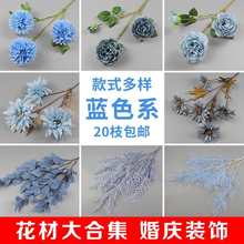 �{ɫϵ���滨������ĵ�������m����·����