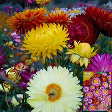 շNDոɻջNӾ^G̨@ˇл^ܷN