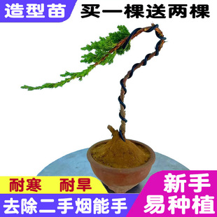 ӭ��������辰�����辰�ذ��������ͺ��ͺ��ļ�����ͥԺ�ɰؘ���