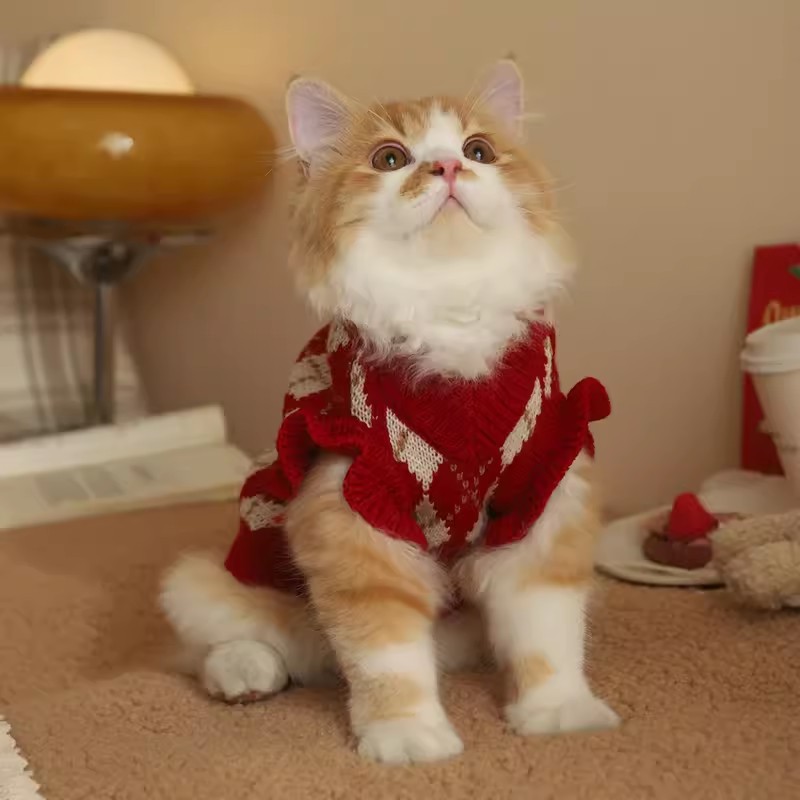 Gato Ropa Otoño Suéter marioneta gato capa gradual lindo mascota invierno Otoño e Invierno gatito anti-pelusa ropa de otoño