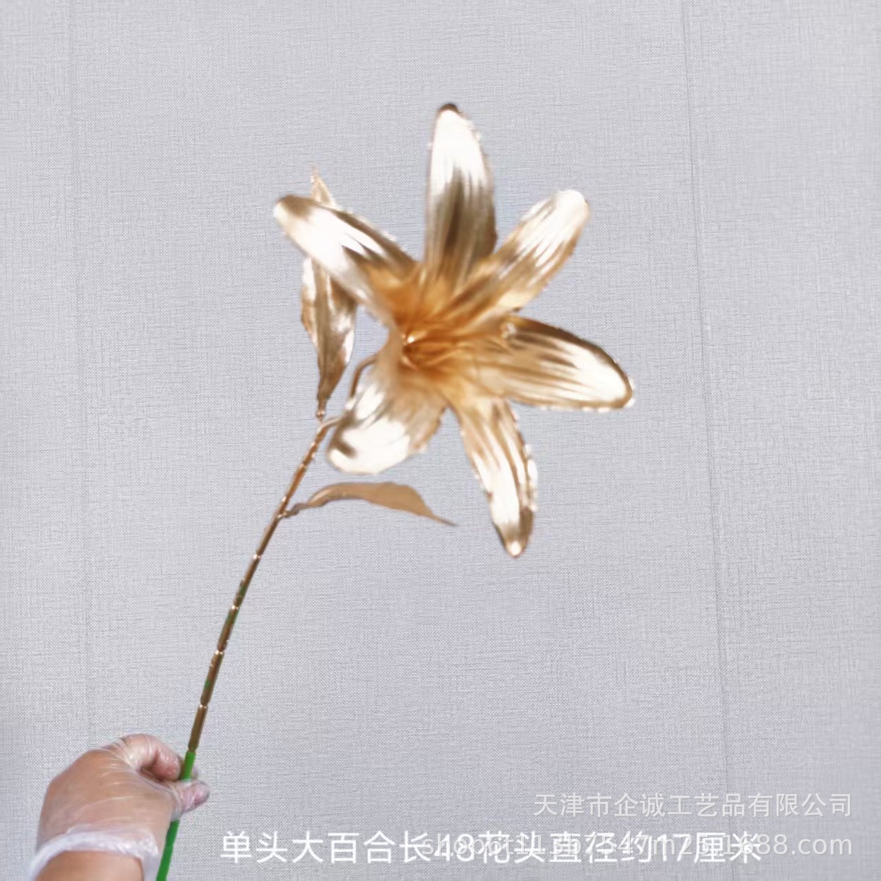 단일 머리 큰 백합