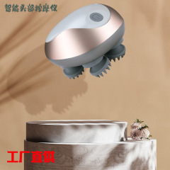 ミニ頭部マッサージ器充電マッサージ器頭皮頭痛竜爪手多機能揉み振動理学療法器