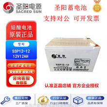 �}���늳�SSP12-12 12V12AH늄�ͯ܇ �������C ͨӍ�O�䑪������