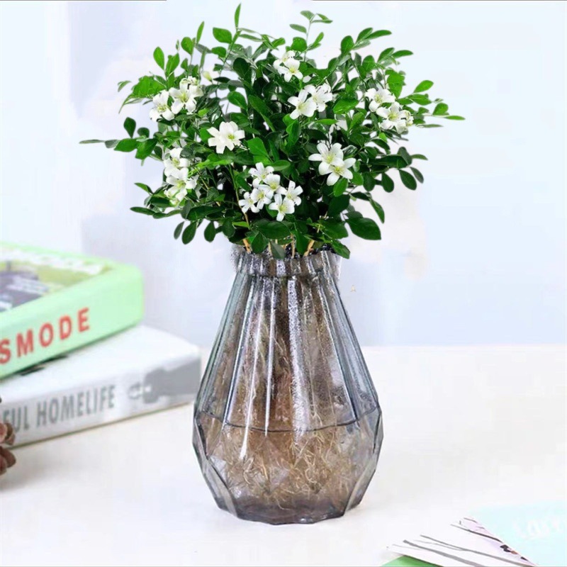 [신수경재배] 엄선된 15-20CM 구리향나무 15-20그루(다이아몬드 그레이 유리병)