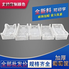 ���̖���_�������Ͽ���ݮ��ȫ��������ˮ�����������D����̫��